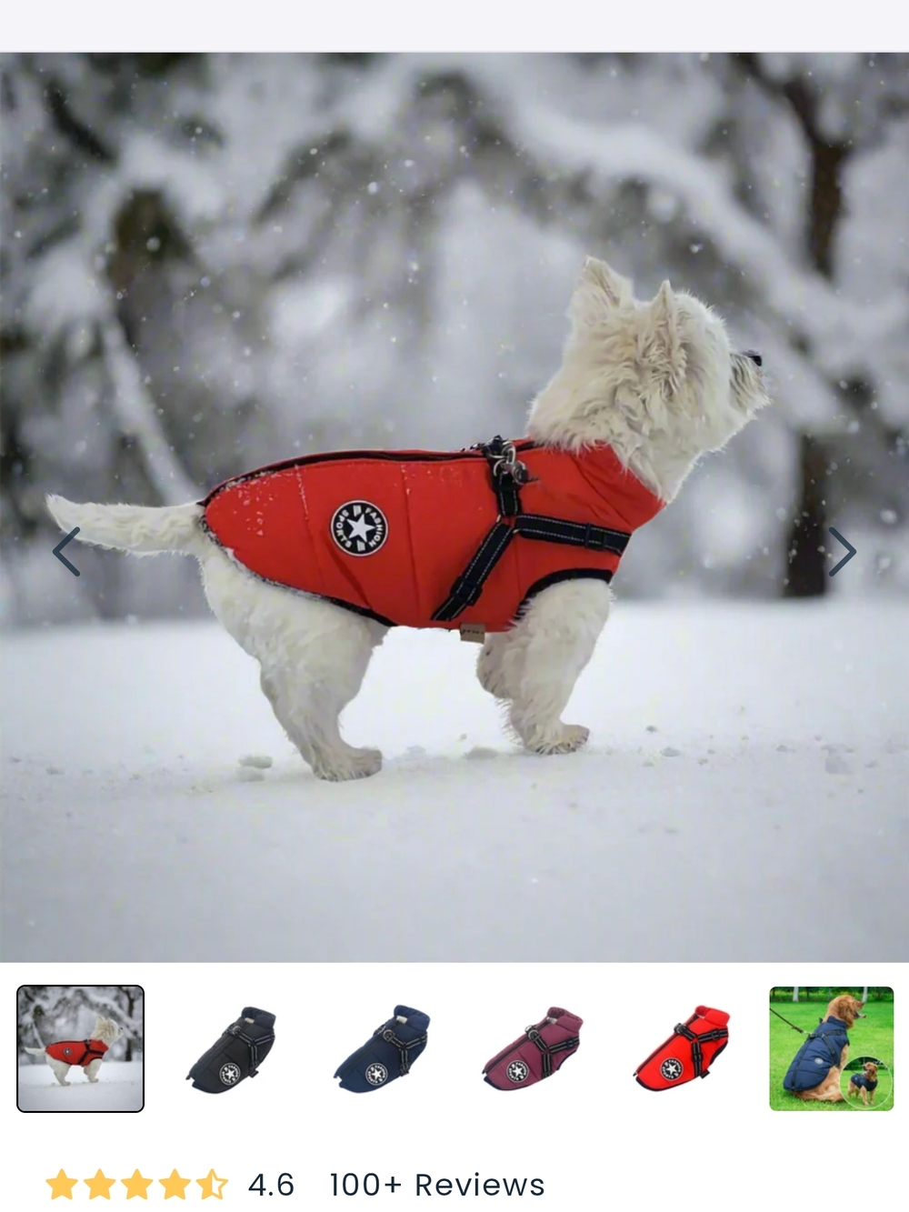Fashion Sports Winter Jacket Harness Vest with Reflective Patch